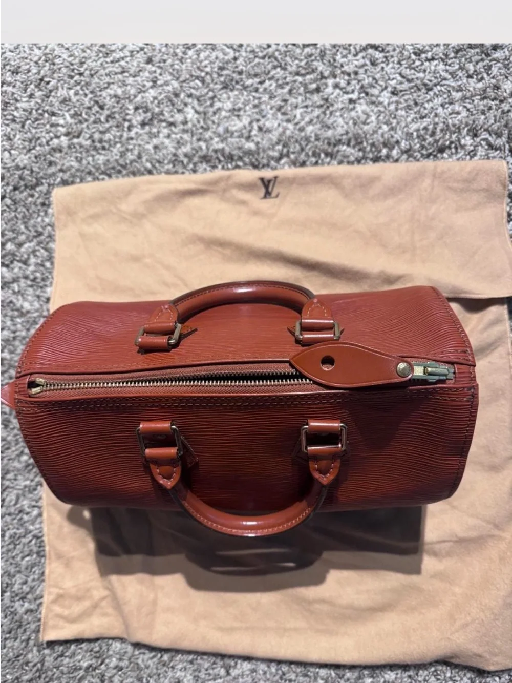 Louis Vuitton Brown Epi Leather Alma Handbag